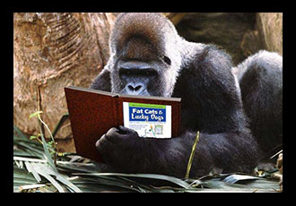 A gorilla reading Fat Cats and Lucky Dogs